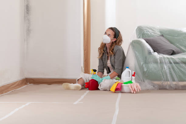 Reliable Crawl Space Mold Remediation contractor in Tomball, TX by Mold Remediation HQ